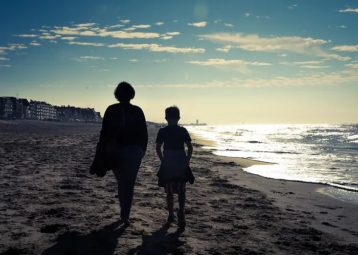 Les Hirondelles 3* Le Coq