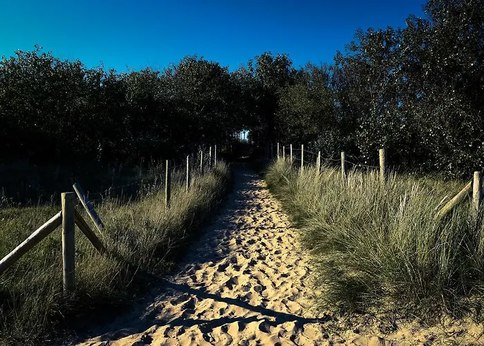 Les Hirondelles Couette-café Le Coq